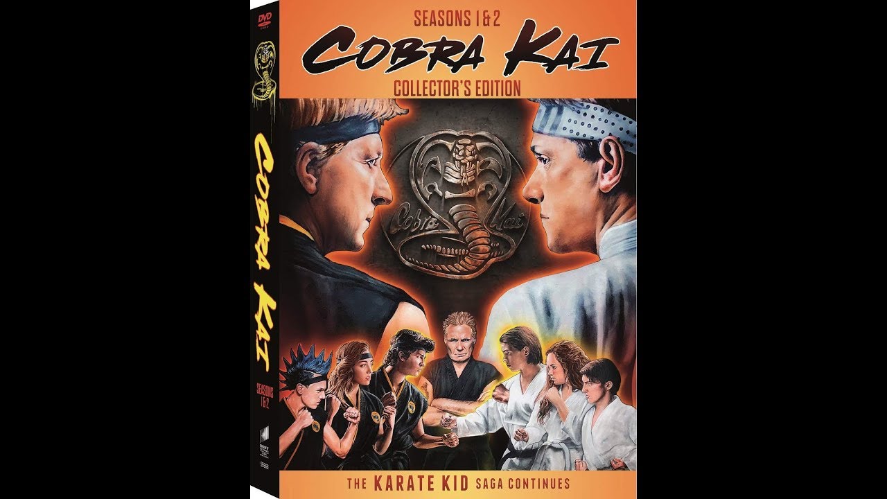 Opening To Cobra Kai:Seasons 1 & 2 2019 DVD - YouTube