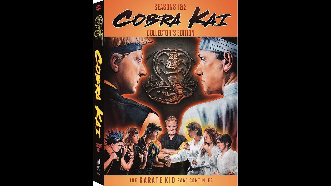 Cobra Kai: Seasons 1 & 2 (DVD) for sale online