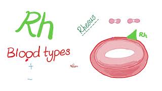 ABO Blood Antigens and Rh (D Antigen)  | Biology