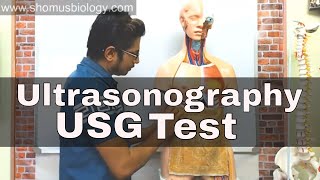 Ultrasonography USG Test in Hindi