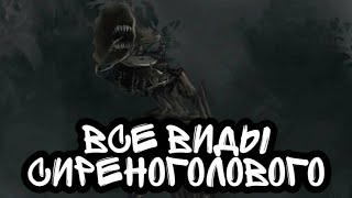 Все виды Сиреноголовых | Все родственники Сиреноголового | Все Сиреноголовые | Семья Сиреноголового