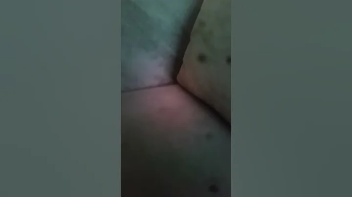 15 de maio de 2018