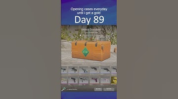 Opening Cases everyday until I unbox a gold | Day 89 #cs2 #caseopening