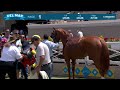 Current Affair wins race 1 at Del Mar 7/24/25