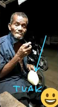 HIBURAN MALAM MINGGU STATUS WA LUCU