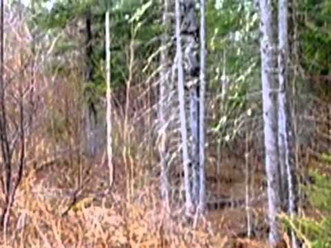 454 Bear Notch Road, Corinth, VT home video tour