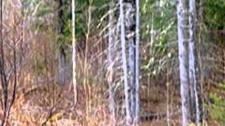 454 Bear Notch Road video tour