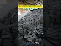 Mesh belt dryer for charcoal briquette drying #machine #ecofriendly
