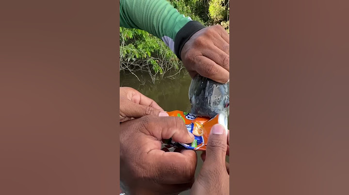 Piranha vs metal can!!!