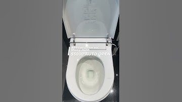 Bồn cầu chăm sóc thông minh cao cấp Galaxy S5000 (Auto Open)