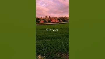 استمع الى القران الكريم ولا تهرب #قرآن #اكسبلور #المصحف #الرحمن #راحة_نفسية #تيك_توك