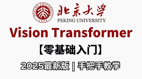 【Vision Transformer】2025最新最全ViT教程！从零开始手把手教你实现图像分类，小白也能轻松入门！