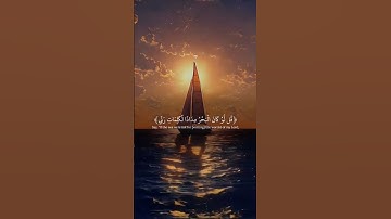 القران الكريم راحة نفسية تلاوة خاشعة حالات واتساب قران كريم 💙🩵💜 #حالات_واتس_اب