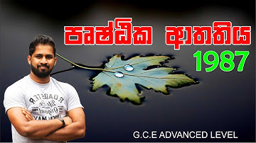 No. Zero Physics | Surface Tension | 1987 Essay