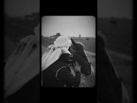 فمتى ستداوي الجروح متى انشودة رائعة أنشودة إسلامية ليك فضلآ وليس امرآ