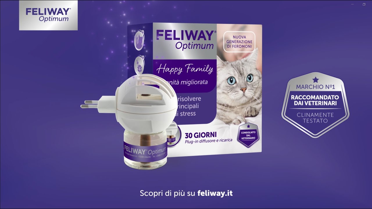 Feliway Optimum, per gatti felici come mai prima - 45'' 