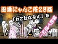 風雲にゃんこ塔【２８階】大狂乱のムキあしネコの波動で攻略