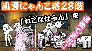 تحميل 28階 にゃんこ تحميل 28階 にゃんこ