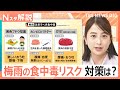 「○○の箱」が菌の温床に?家の意外な場所に潜む食中毒の危険性【Nスタ解説】|TBS NEWS DIG