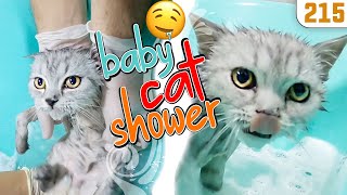 DoBiDa Cat Baby Shower  DoBiDa Team is with Maze(How to give bath to a cat) @DoBiDa 215