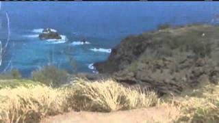 Maui Police: Santa Cruz Lawyer Tried To Escape Boyfriend
