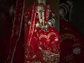 Betea Je Rahita Beti Khilite Bihayito Sadi Shortsvideo Videos New Song Betea Je Rahita Beti Khilite Bihayito Sadi Shortsvideo Videos New Song