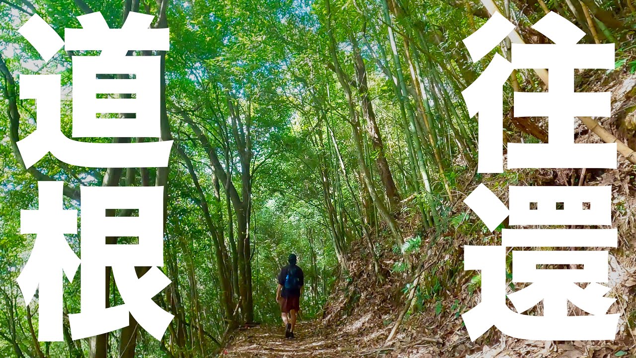 【長篠の戦い】愛知県岡崎市にある古道「道根往還」を歩く【鳥居強右衛門】