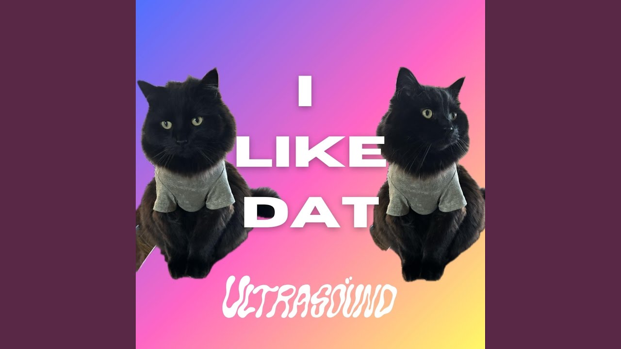Watch I LIKE DAT on YouTube Watch I LIKE DAT on YouTube