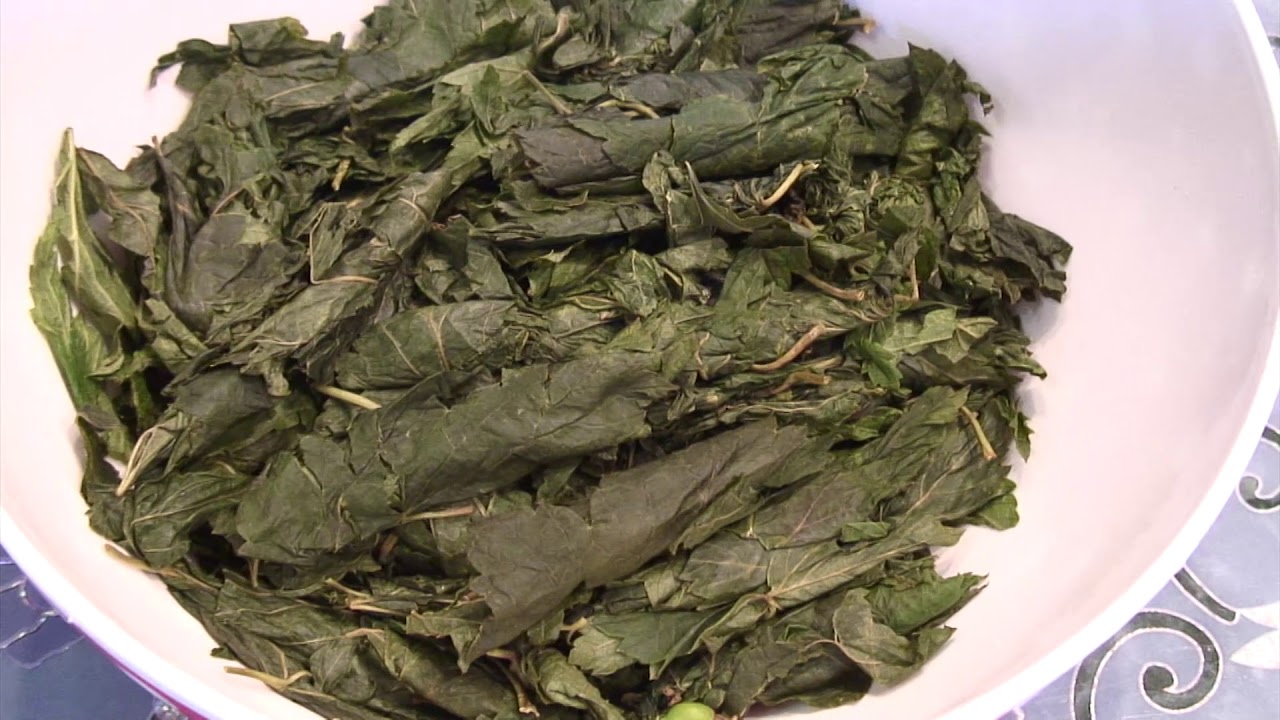 Как приготовить листья чая. Ферментированный чай. Ферментация чая. Ферментированные травяные чаи. Ферментация листьев мяты.
