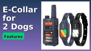 REVIEW (2025): E-Collar for 2 Dogs. ESSENTIAL details.