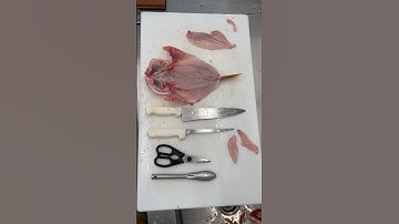 Learn how to butterfly fish by watching my latest YouTube tutorial video!