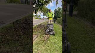 When lawns are covered with fallen leaves, they need more than just a quick mow. 🍃