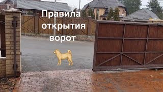Правила ОТКРЫТИЯ ВОРОТ для собак. Кане корсо Бафи Правила ОТКРЫТИЯ ВОРОТ для собак. Кане корсо Бафи