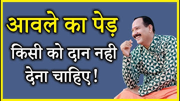 आवले का पेड़ किसी को दान नही देना चाहिए!  #pandit_pradeep_ji_mishra #vitthlesh_sewa_samiti