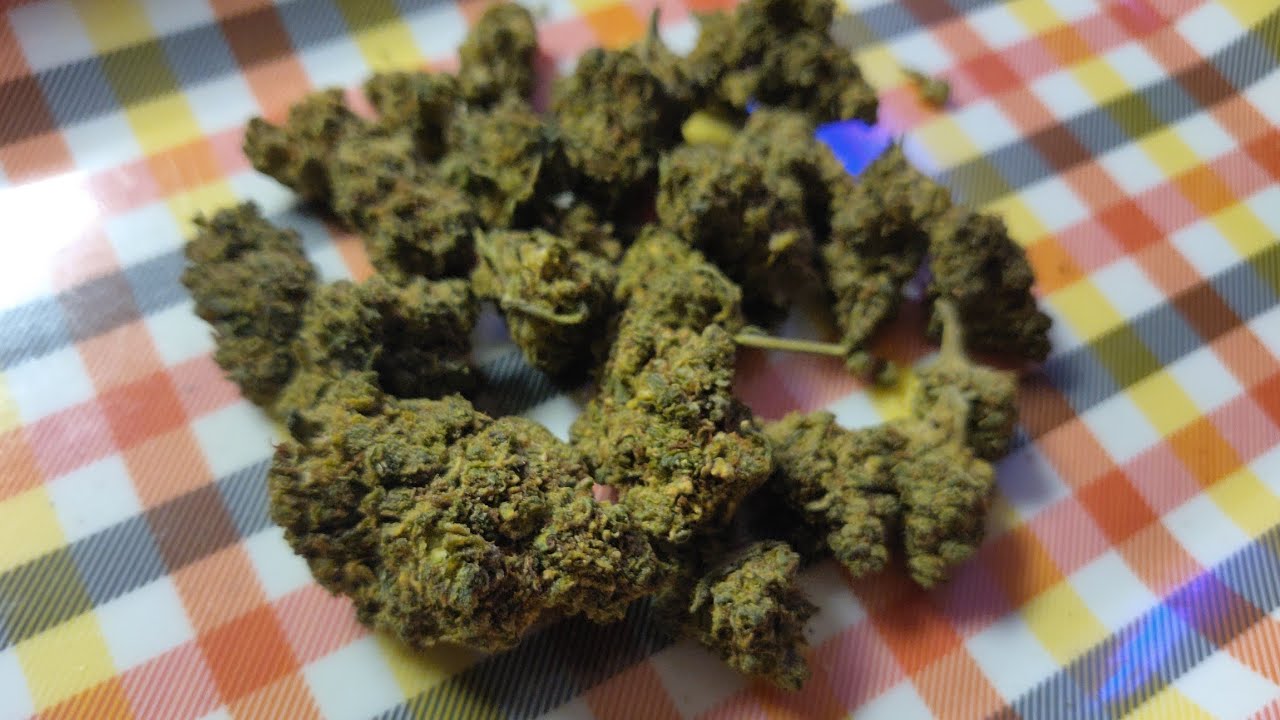 The Hemp Cartels Delta 8 Flower Indoor Strawberry Kush strain review. 🌄💨