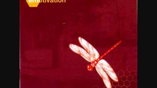 Track 12 del disco Emotivation del año 2001 de la banda de ska-punk...