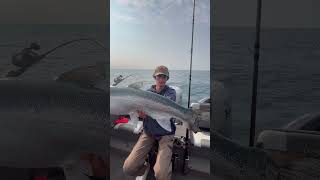 Giant Lake Michigan Steelhead!  #fishing #fish #steelhead #salmon #fishingvideo #fishinglife