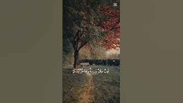 حلات وتس اب قرآن كريم 🤍 بصوت جميل #اكسبلور #لايك