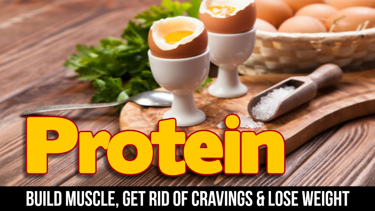 Why Protein Is So Important To Your Health YouTube