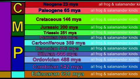 PLJOURNAL5: AMPHIBIAN FOSSILS & GEOLOGIC TIME