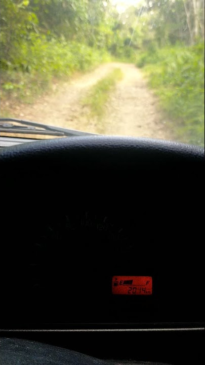 story wa & ig nyetir mobil lewat tengah hutan terbaru