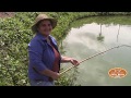 UM DIA NA ROÇA COM A CONCEIÇAO DO BOLO DE ABOBORA E UMA PESCARIA DE ANZOL BEM ANIMADA