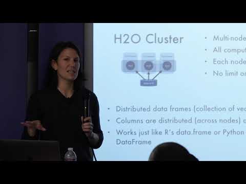 Scalable Automatic Machine Learning with H2O