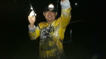 Ngày mưa bão dính cặp tôm càng xanh,ngát, út,đù ,mao ếch #câu cá cần giờ