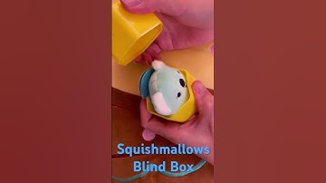 #cute #squishmallows #micromallows #blindbox