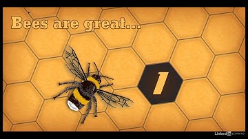 Part-1 || 02 A New Look for Illustrator || Presentation mode