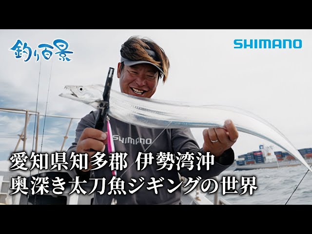 【中古】 沖釣りガイド 関東周辺/保育社/藤井魚聖 中古】 沖釣りガイド 関東周辺/保育社/藤井魚聖