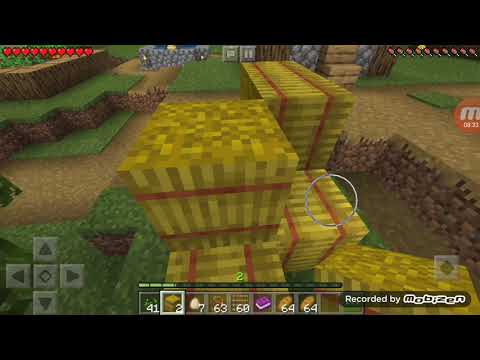 ბომჟი#1 ვიპოვეთ სოფელი და დავიწყეთ დროებითი სამსახური.