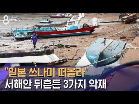 &quot;일본 쓰나미 떠올라&quot; 서해안 뒤흔든 3가지 악재 / SBS