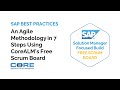 Agile sap in 7 steps